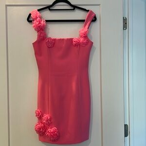 Elliatt Trompe Rosette mini dress!